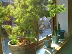 -朵朵开素食餐厅(后宰门街店)