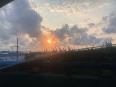 -如意香辣鸡架(总店)