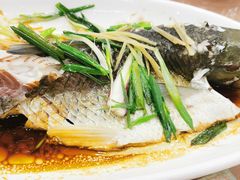 清蒸鱼-海晖酒楼·顺德鱼生(荣华店)
