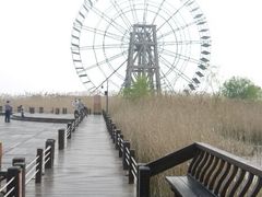 android_upload_pic-新木器时代餐厅(太湖新天地店)