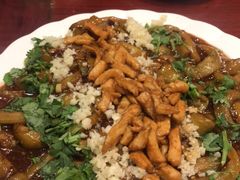 -邵年鸽(杨庄店)