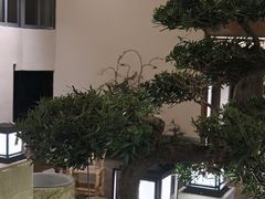 -华冠悠岚·庭院餐厅(青城后山店)