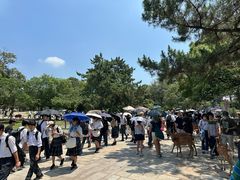 -奈良公园