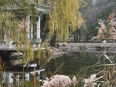 -北陵公园