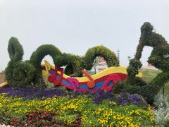 -荷兰花海
