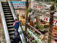 -双季花艺园艺市场(浦东店)