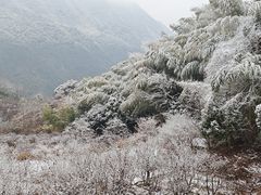 -四明山国家森林公园