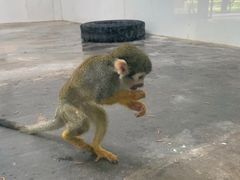 -西安秦岭野生动物园