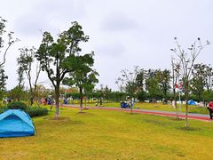 -上海长兴岛郊野公园