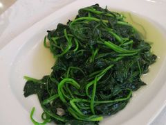 清炒菠菜-上海浦东丽晟假日酒店-多瑙河全日餐厅