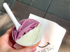 -Dip in Gelato(富民路店)
