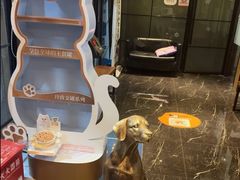 -宠颐生斯嘉宠物医院·急重症·心内科(谷阳北路分院)