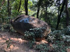 -火炉山森林公园