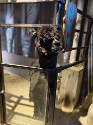 -酷嗒动物文化乐园(cutezoo西溪乐天城店)