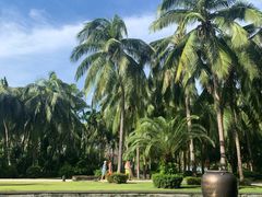 -三亚湾海居铂尔曼度假酒店