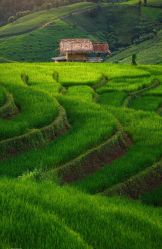点击看大图 -iSpa