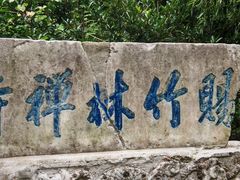 -镇江市南山风景名胜区竹林景区