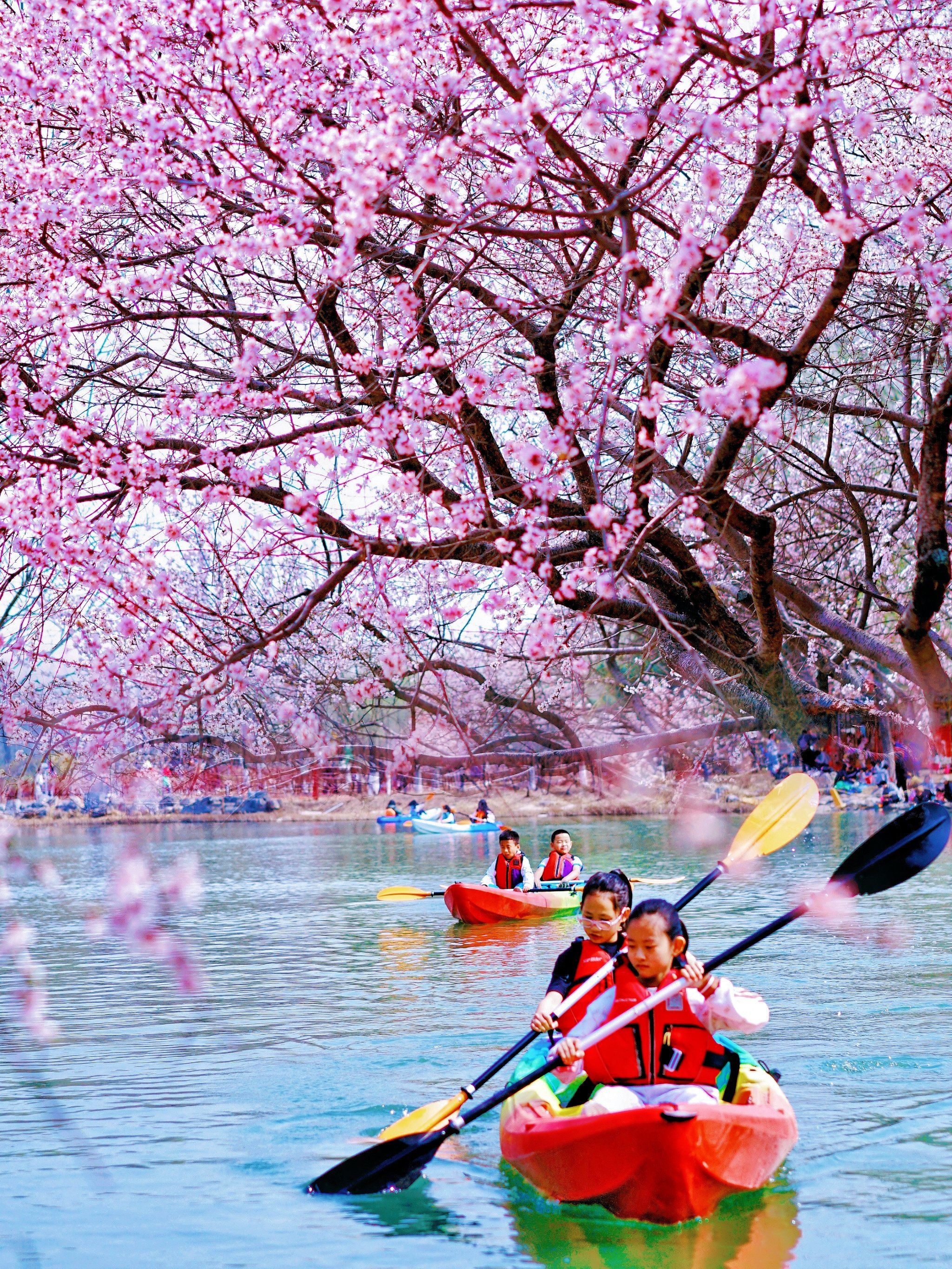 嘘!07我发现了北京超美的桃花源!