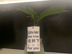 -希屿·Xislands融合餐厅