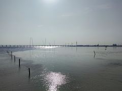 -南汇新城海滩
