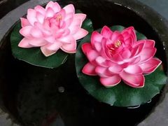 -钦善斋(武侯祠店)