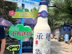 -普陀宗乘之庙(小布达拉宫)