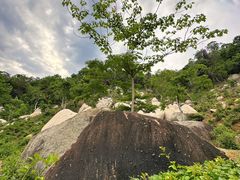 -火炉山森林公园