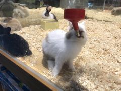 -龟与熊猫宠物公园(南坪店)
