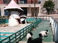 -灵玲国际马戏城