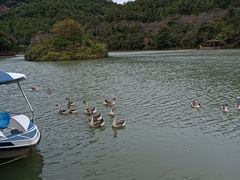 -广州白江湖森林公园