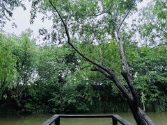 -新江湾城公园