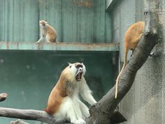 -宁波野生动物园
