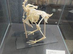 -牛鱼嘴原始生态风景区