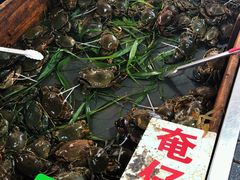 -南沙十九涌渔人码头-南门