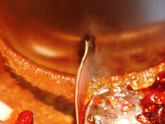 鸳鸯锅-东镇老火锅(长春路首店)