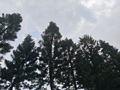 -长洲岛