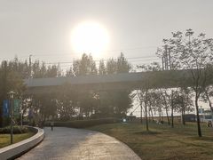 -宝安西湾红树林湿地公园