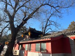 -红螺寺