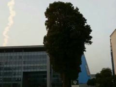 -扬州大学(扬子津校区)