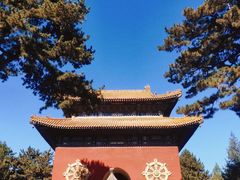 -普陀宗乘之庙