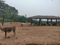-杭州野生动物世界