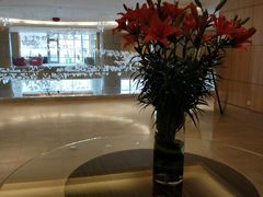 -芽庄喜来登水疗酒店