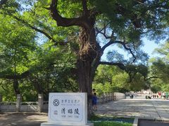 -北陵公园