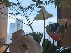 -苏州香格里拉大酒店