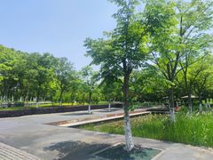 -长田漾湿地公园
