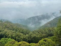 -莫干山风景区