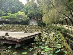 -国恩寺