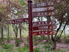 -曹州牡丹园