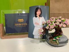 -猫头鹰照相馆(国贸店)