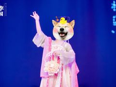 -朵拉舞蹈·少儿舞蹈·成人舞蹈(百花校区)